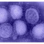 H1N1 in Britain
